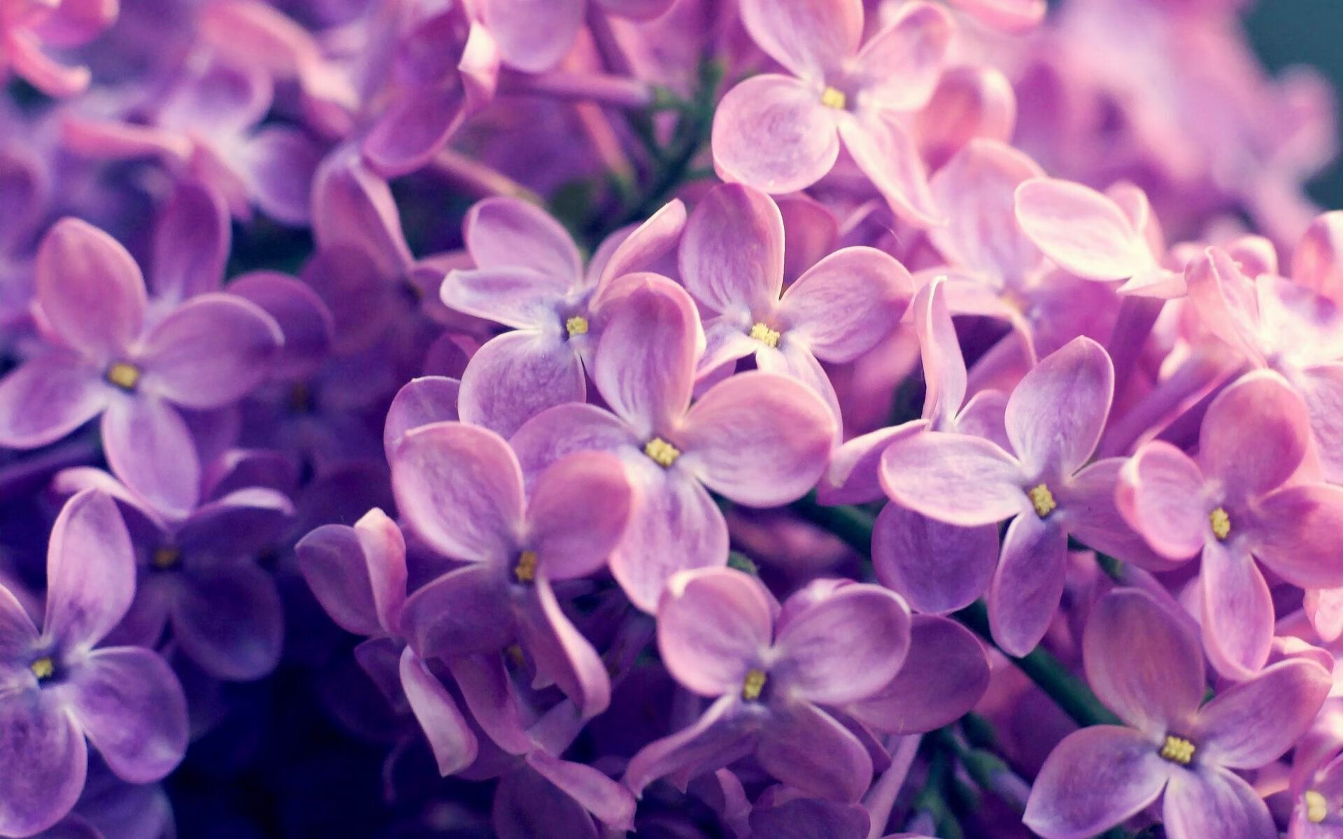 媒体称赞俱乐部青年军表现亮眼未来或成国家队重要力量,青年俱乐部图片