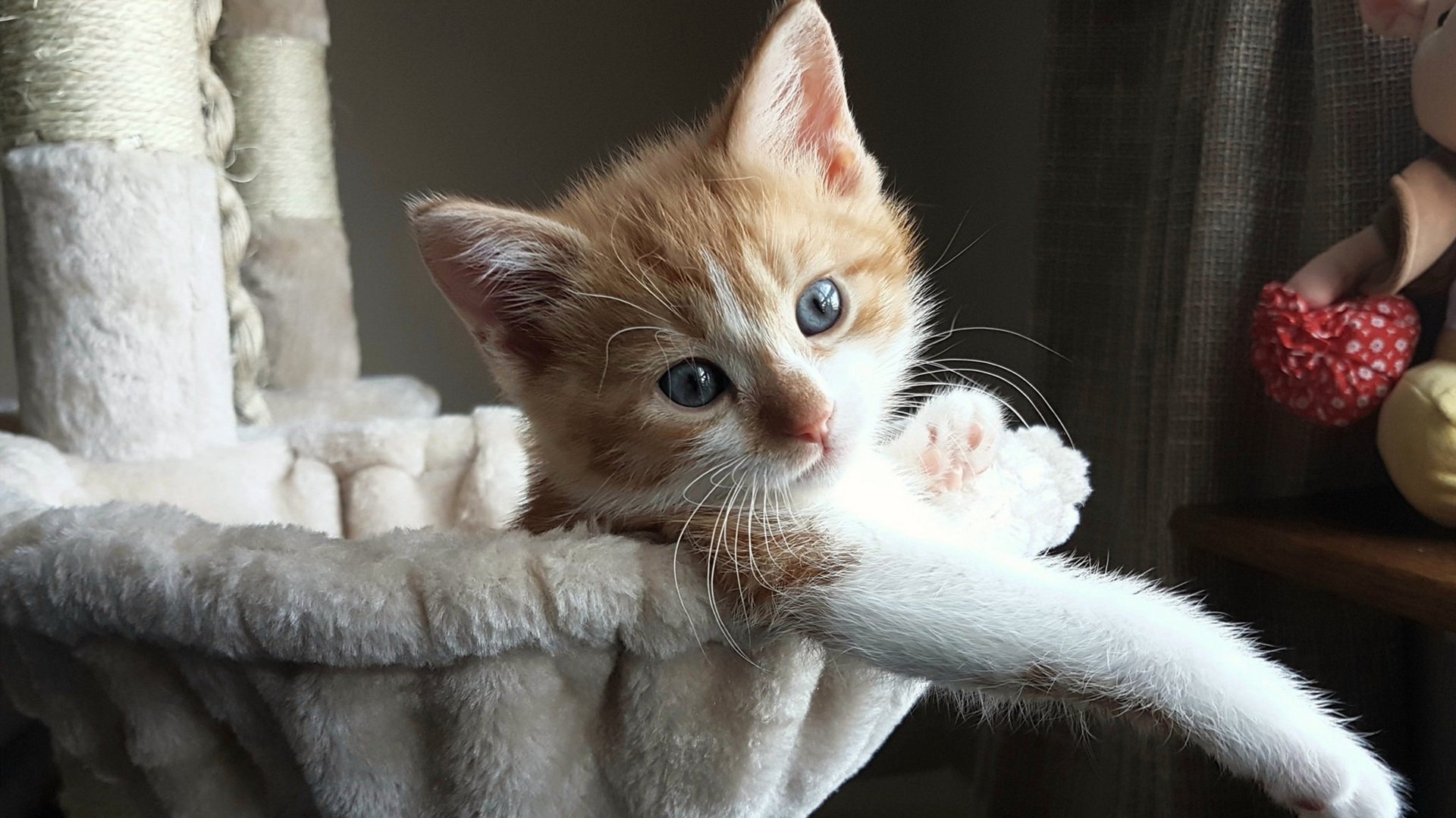 新闻中心发布公众健身月公益课程时间安排,公益健身馆