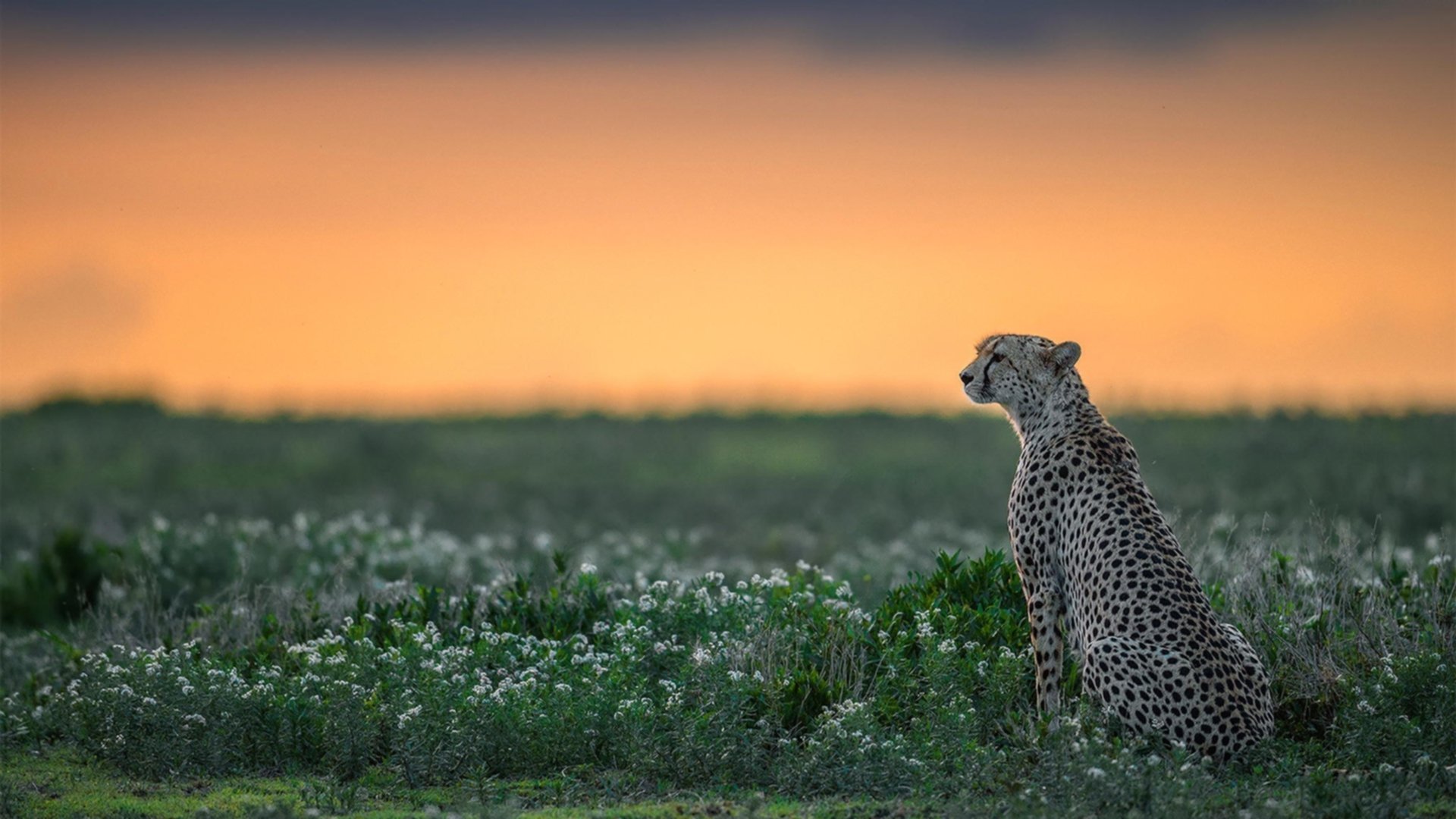 开云体育在线官网-篮球运动员伤病康复情况，篮球运动员疾病